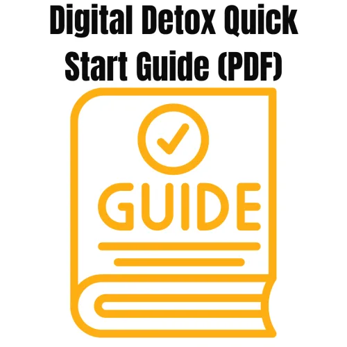 Sky Blue Modern Digital Marketing Ads Instagram Post Digital Detox Quick Start Guide (PDF)